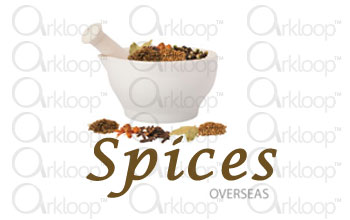 Spices Logo