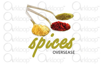 Spices Logo