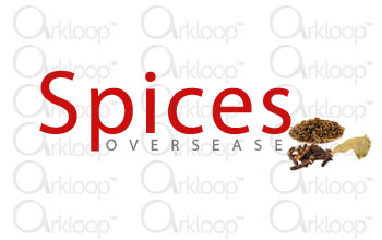 Spices Logo